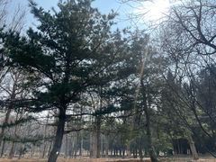 -太阳宫足球俱乐部