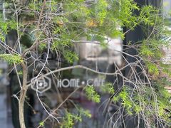 -Home Cafe(水榭春天店)