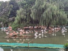 -宁波野生动物园