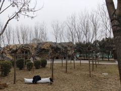 -毛遂公园