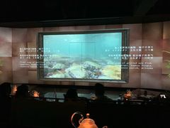 -地球美食剧场