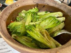 啫啫生菜煲-陶陶居酒家(海岸城店)