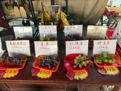 -马陆小张葡萄园农家乐