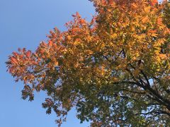 -COSTA COFFEE(昆城广场店)