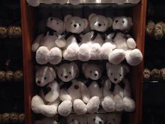 -济州岛泰迪熊博物馆