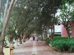 -厦门大学(思明校区)