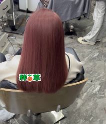 -藤野造型