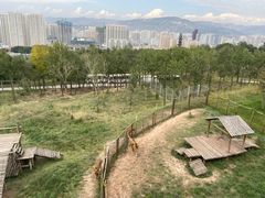 -青藏高原野生动物园