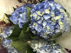 -亭亭鲜花店(中山北路店)