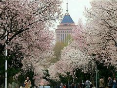 -吉林大学(南岭校区)