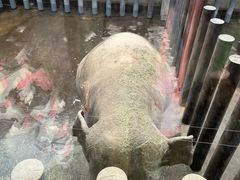 -济南野生动物世界