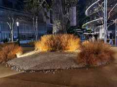 -星巴克臻选(万象前海店)