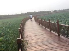 -天津东丽湖风景区