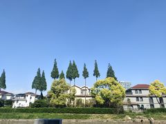 -嘉定紫藤园