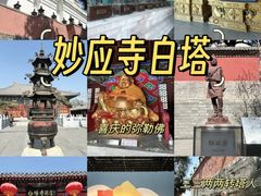 -中国地质博物馆