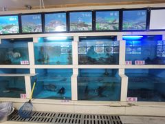 -楚鱼王·河鲜·湖北菜(华农店)