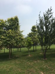 -大望京儿童游乐场