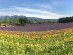 -富田农场