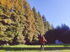 -山王坪喀斯特国家生态公园