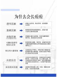 点击看大图 -玛莲朵·海菲秀冰珀科