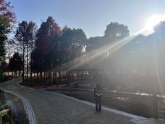-同里国家湿地公园