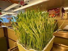 -海底捞火锅(旭辉MALL店)