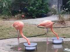 -上海动物园(地铁站)