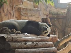 -泉州海丝野生动物世界