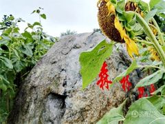 -广州市流溪河国家森林公园