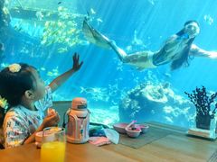 -涛·海底餐厅·美人鱼·自助餐·海底隧道(三亚海棠湾洲际度假酒店)