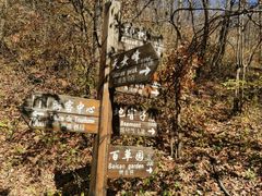 -天女山森林公园