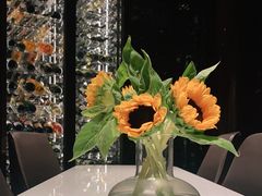 -wineapp葡萄酒餐吧(外滩金融中心店)