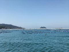 -枸杞岛
