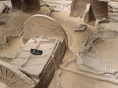 -洛阳周王城天子驾六博物馆