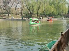 -团结湖公园