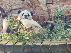 -石家庄市动物园