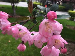 -荆川公园
