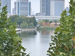 -金银湖国家城市湿地公园