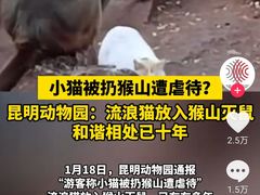 -昆明动物园