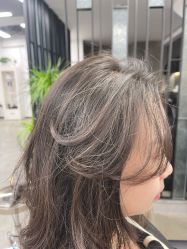 -蚂蚁造型俱乐部