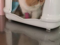 -爱侣宠医·鹦鹉专科·小型哺乳类·异宠专科(灵石路店)