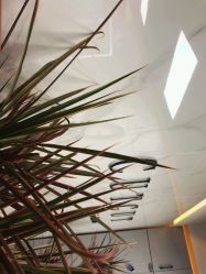 -CUT CUT Hair Salon