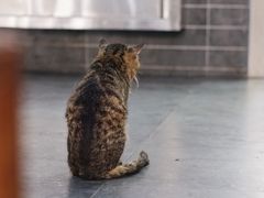 -随柳居·苏式小吃(建新巷店)