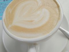 -喵的天空名猫咖啡馆·撸猫·猫舍·用品