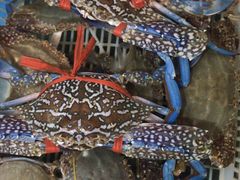 -七宝蔬菜农副产品综合交易市场-停车场