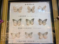 -蝴蝶泉公园