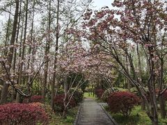 -长广溪湿地公园