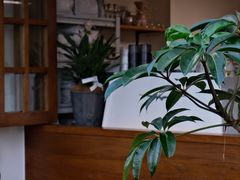 -本無咖啡·BeanWood Coffee