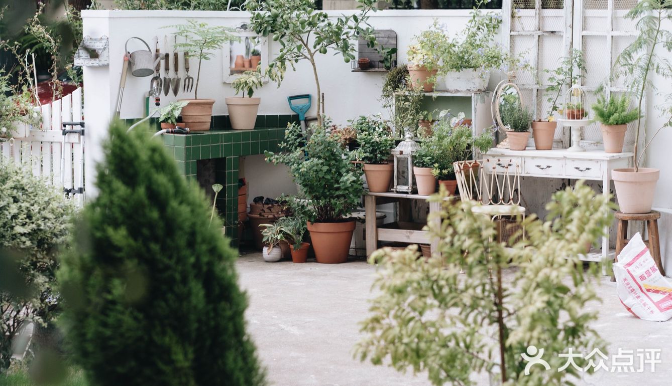 与植物生活在一起Ning's 