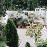 与植物生活在一起Ning's 